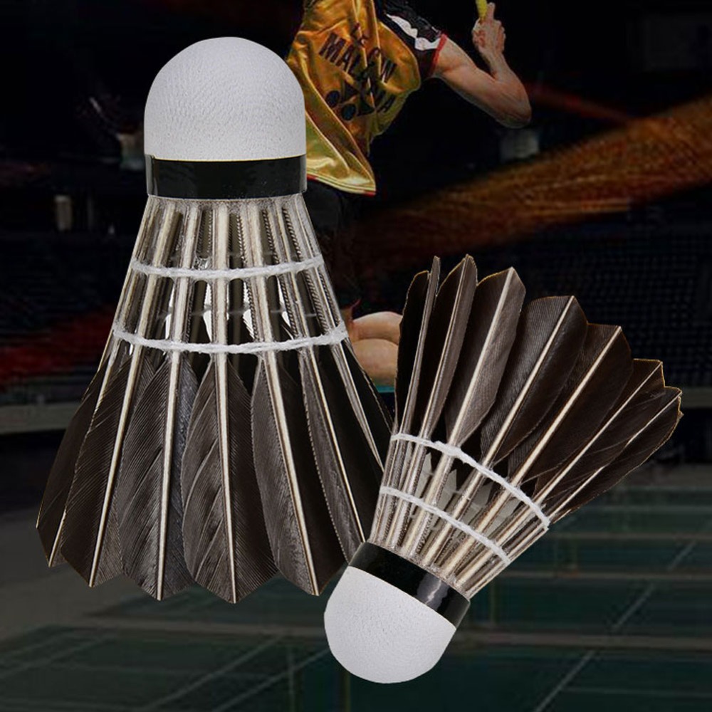 3/6/12 Peças Acessórios Profis - Badminton Event avaliação e preço